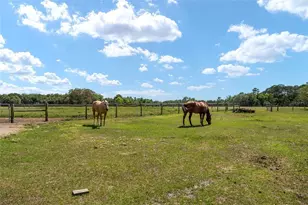 15120 SE 85th St, Ocklawaha, FL 32179 - Photo 39