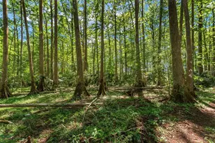 15120 SE 85th St, Ocklawaha, FL 32179 - Photo 45