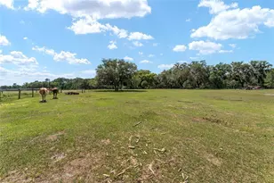 15120 SE 85th St, Ocklawaha, FL 32179 - Photo 41