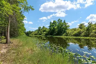 15120 SE 85th St, Ocklawaha, FL 32179 - Photo 49