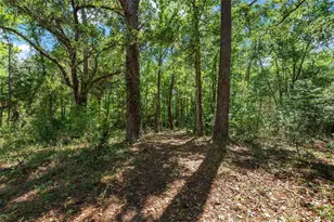15120 SE 85th St, Ocklawaha, FL 32179 - Photo 43