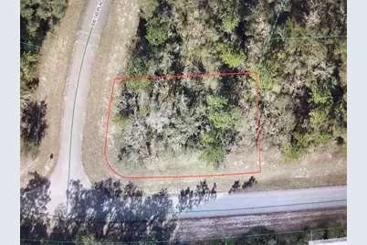 0 SW 145 Place Road, Ocala, FL 34473 - Photo 5