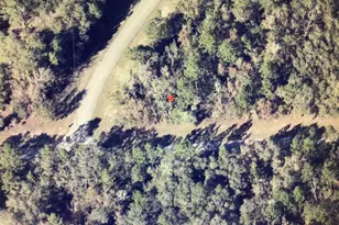 0 SW 145 Pl Rd, Ocala, FL 34473 - Photo 1