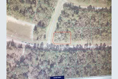 0 SW 145 Place Road, Ocala, FL 34473 - Photo 3