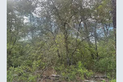 Lot 6 SW 170th Place, Ocala, FL 34473 - Photo 5