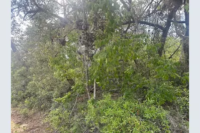 Lot 6 SW 170th Place, Ocala, FL 34473 - Photo 7