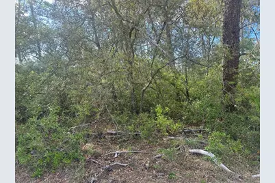 Lot 6 SW 170th Place, Ocala, FL 34473 - Photo 1