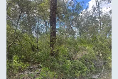 Lot 6 SW 170th Place, Ocala, FL 34473 - Photo 3