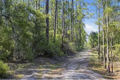 Tbd NE 125th Avenue, Fort Mc Coy, FL 32134 - Photo 17