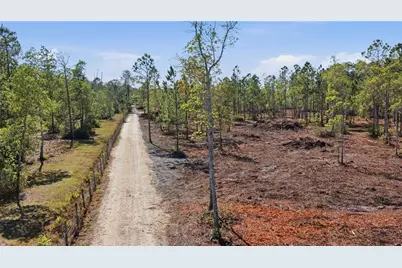 Tbd NE 125th Avenue, Fort Mc Coy, FL 32134 - Photo 3