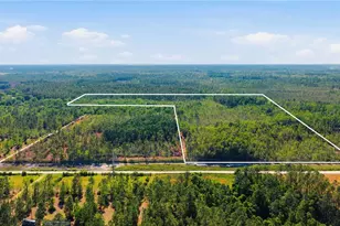 Tbd NE 125th Ave, Fort Mc Coy, FL 32134 - Photo 1