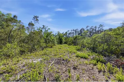 Tbd NE 125th Avenue, Fort Mc Coy, FL 32134 - Photo 15