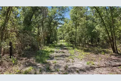 Tbd NE 125th Avenue, Fort Mc Coy, FL 32134 - Photo 5