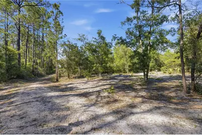 Tbd NE 125th Avenue, Fort Mc Coy, FL 32134 - Photo 11