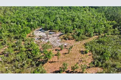 Tbd NE 125th Avenue, Fort Mc Coy, FL 32134 - Photo 9
