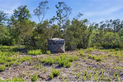 Tbd NE 125th Avenue, Fort Mc Coy, FL 32134 - Photo 7