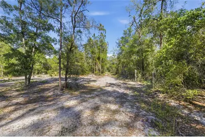 Tbd NE 125th Avenue, Fort Mc Coy, FL 32134 - Photo 19