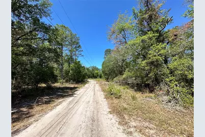 Tbd NE 128th Lane, Bronson, FL 32621 - Photo 9