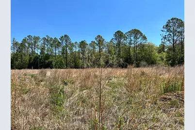Tbd NE 128th Lane, Bronson, FL 32621 - Photo 15