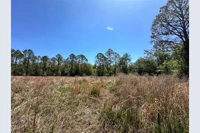 Tbd NE 128th Lane, Bronson, FL 32621 - Photo 13