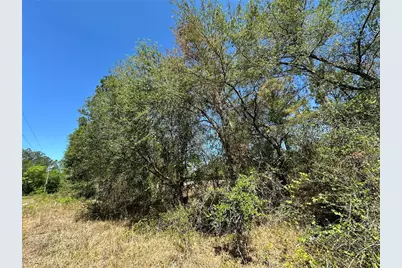 Tbd NE 128th Lane, Bronson, FL 32621 - Photo 3
