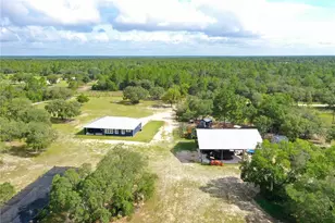 6254 W Peking Ct, Dunnellon, FL 34433 - Photo 81