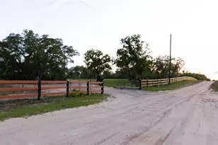 6254 W Peking Ct, Dunnellon, FL 34433 - Photo 83