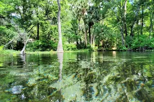 19660 SW 83rd Place Rd, Dunnellon, FL 34432 - Photo 81