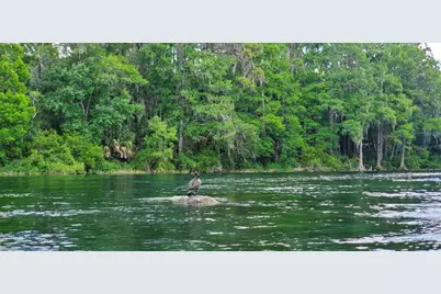 19660 SW 83rd Place Road #C16, Dunnellon, FL 34432 - Photo 83