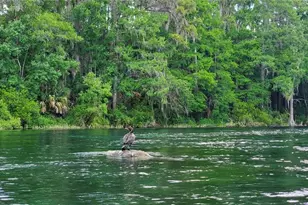 19660 SW 83rd Place Rd, Dunnellon, FL 34432 - Photo 83