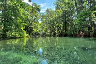 19660 SW 83rd Place Rd, Dunnellon, FL 34432 - Photo 85