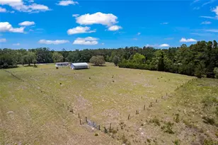 2691 NW County Road 345, Chiefland, FL 32626 - Photo 37