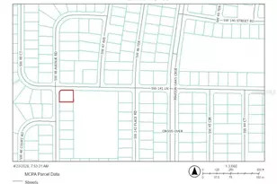 Tbd SW 48th Ave Rd, Ocala, FL 34473 - Photo 1