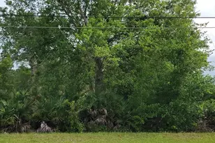 Ralston St, Orlando, FL 32833 - Photo 1