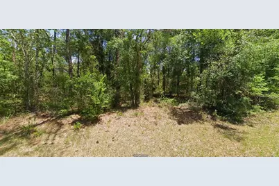 Nw Buena Vista Rd, Dunnellon, FL 34431 - Photo 1