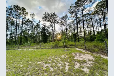 14251 SE 21st Place, Morriston, FL 32668 - Photo 43