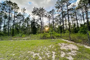 14251 SE 21st Pl, Morriston, FL 32668 - Photo 43