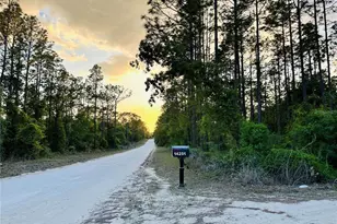 14251 SE 21st Pl, Morriston, FL 32668 - Photo 45