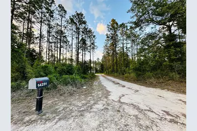 14251 SE 21st Place, Morriston, FL 32668 - Photo 49