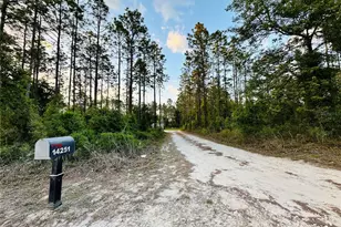 14251 SE 21st Pl, Morriston, FL 32668 - Photo 49