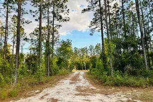 14251 SE 21st Pl, Morriston, FL 32668 - Photo 9