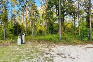 14251 SE 21st Pl, Morriston, FL 32668 - Photo 41