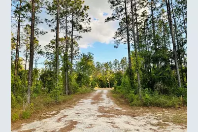 14251 SE 21st Place, Morriston, FL 32668 - Photo 9