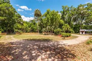 19451 SE 2 St, Williston, FL 32696 - Photo 87