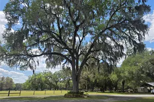 2672 SE 35th St, Sumterville, FL 33585 - Photo 19