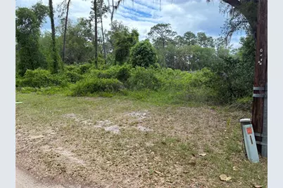 00 SE 87 Street, Ocklawaha, FL 32179 - Photo 3