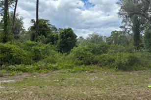 00 SE 87 St, Ocklawaha, FL 32179 - Photo 1