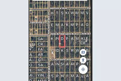 Lot 3 NW Amberjack Ave., Dunnellon, FL 34431 - Photo 3