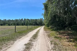 11051 SE 40th St, Morriston, FL 32668 - Photo 23