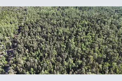 0, Naples, FL 34119 - Photo 9